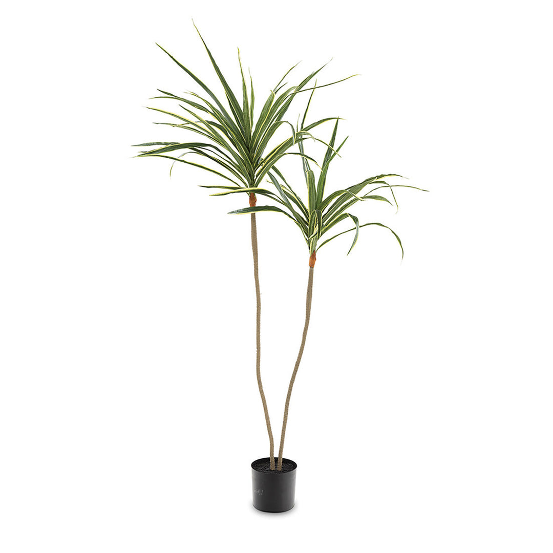 Draceana Artificial Plant