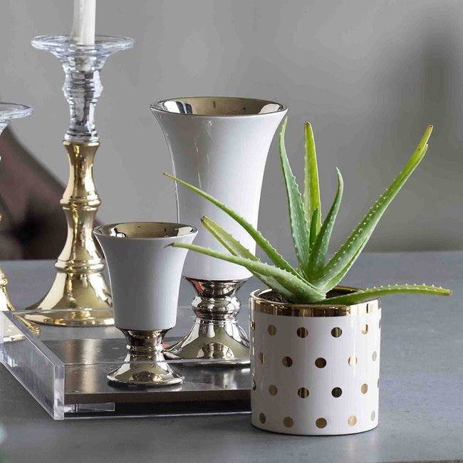 Navya Golden Dots Planter